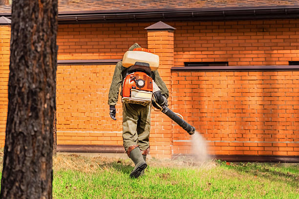 Trusted Emergency Pest Control service in Weber City, VA - Nex Pest Control